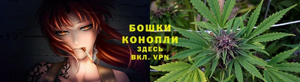 гидропоника Богородицк