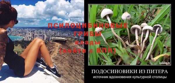 гидропоника Богородицк