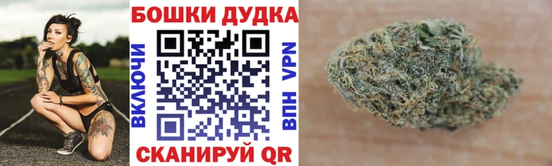 где купить наркоту  Новоржев  Каннабис Ganja 